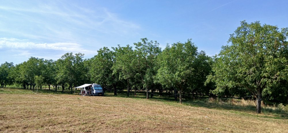 Aire camping-car  Saint-Antoine-l'Abbaye (38160) - Photo 2